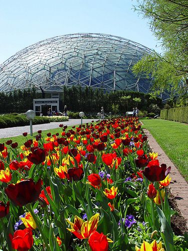 Climatron in spring by Missouri Botanical Garden, via Flickr - I could spend a week just looking at the whole Garden!  Love this place! St Louis Botanical Garden, Gardens Of The World, Missouri Botanical Garden, Meteor Garden 2018, Garden Route, Geodesic Dome, Public Garden, The Windy City, Madison Square Garden