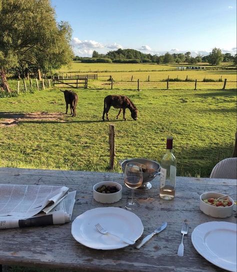 Farm Lifestyle, Future Farms, Country Lifestyle, Ranch Life, Dream Lifestyle, English Countryside, Future Life, A Horse, House Inspo