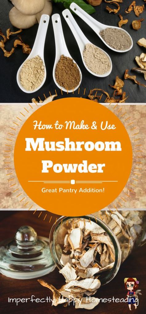 How to Make and Use Mushroom Powder - a Wonderful Addition to Your Pantry and Recipes! Dehydrate Mushrooms, Dehydrated Mushrooms, Recipe Mushroom, Mushroom Varieties, Seasoning Recipe, Mushroom Powder, Dried Mushrooms, Powder Recipe, Homemade Seasonings