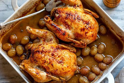 Roasted Cornish Hens Recipe with Grapes – How to Roast Cornish Hen — Eatwell101 Cornish Hen Recipes Oven, Mashed Potato Cake Recipe, Cooking Cornish Hens, Hen Recipes, Turkey Rub Recipes, Roasted Cornish Hen, Cornish Hen Recipe, Cornish Hen, Whole Chicken Recipes