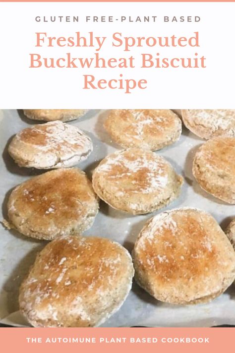 Freshly Sprouted Buckwheat Biscuit Recipe — Wholeness for Life Sprouted Buckwheat, Buckwheat Recipes, Gluten Free Plant Based, Plant Based Recipes Breakfast, Wfpb Recipes, Plant Based Cookbook, Plant Based Breakfast, Keto Friendly Desserts, Inflammatory Foods