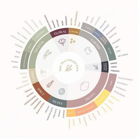 Tea Pairings Chart, Food Wheel, Tea Business Ideas, Tea Knowledge, Tea Sommelier, Flavor Wheel, Tea Infographic, Tea Pairings, Tea Journal