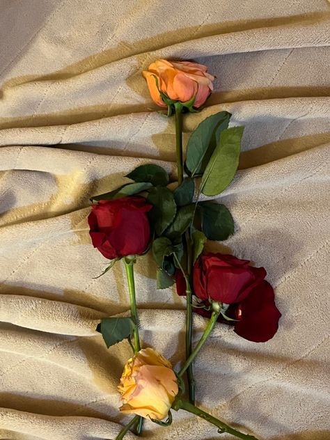 roses on bed Roses On Bed, On Bed, Coffee Love, Art Inspo, Roses, Coffee, Bed, Flowers, Quick Saves