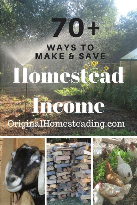 Easy Ways To Save Money, Homesteading Diy, Homestead Farm, Homesteading Skills, Urban Homesteading, Survival Camping, Living Off The Land, Homestead Survival, The Homestead