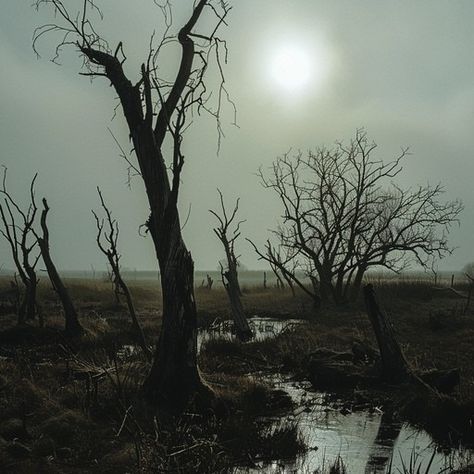 The landscape captures a dreary and haunting feeling with barren trees silhouetted against a foggy backdrop. A narrow stream meanders through the scene under a dimly visible sun, creating a stark contrast with the gloomy atmosphere. The mists add a layer of mystery to the area, emphasizing the solitude and eerie silence prevalent in the setting. Gloomy Landscape, Barren Landscape, Misty Landscape, Foggy Day, Dark Landscape, Light Cyan, Money Book, Purple Christmas, Image Downloads