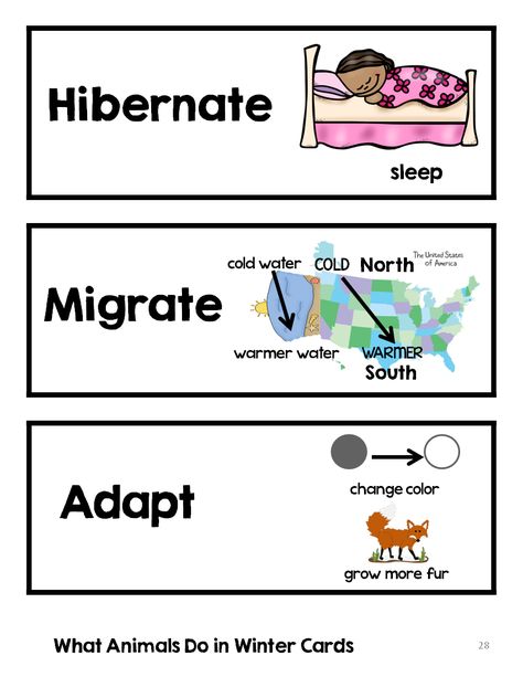 Hibernation Preschool Theme, Hibernation Preschool Activities, Winter Animals Preschool, Hibernation Preschool, Hibernation Activities, Animals In Winter, Winter Lesson Plan, Animals That Hibernate, Winter Science