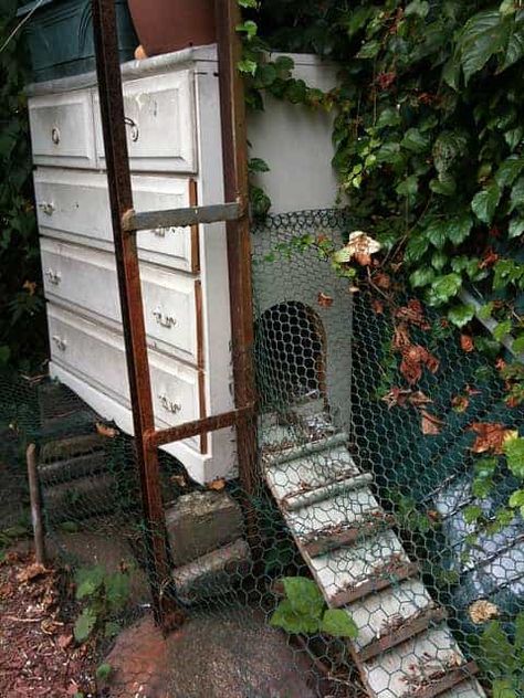 Urban Chicken Coop, Chicken Coup, Urban Chickens, Backyard Chicken Coops, Hen House, Diy Chicken Coop, Chicken Diy, Have Inspiration, Chicken House