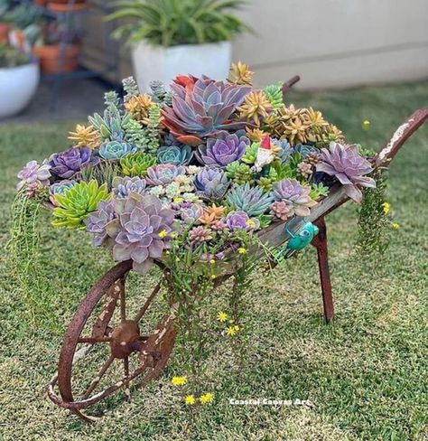 Wheelbarrow Planter Ideas, Wheelbarrow Garden, Succulent Garden Design, Succulent Garden Diy, Recycled Garden, Succulent Gardening, Rock Garden Landscaping, Garden Containers, Garden Yard Ideas