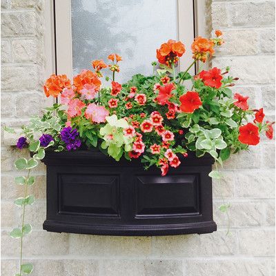 Mayne Inc. Nantucket Self-Watering Plastic Window Box Planter Color: Black, Size: 10" H x 24" W x 11.5" D Wheelbarrow Planter, Plastic Planter Boxes, Plant Window, Railing Planters, Window Box Flowers, Window Planters, Plastic Window, Window Planter Boxes, Garden Windows