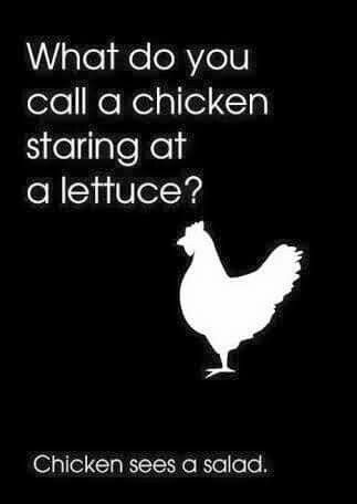 Funny Pun: What do you call a chicken staring at lettuce? Chicken sees a salad - Punny Food Humor #funnypics #funnypictures #pun #funny #humor Passive Programs, Funny Corny Jokes, Best Dad Jokes, Punny Jokes, Laughing Funny, Cheesy Jokes, Dad Jokes Funny, Funny Puns Jokes, Funny Jokes For Kids