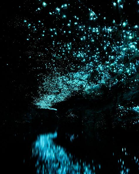 Did You Know You Can Visit the World’s Only Glowworm Caves in New Zealand? New Zealand’s Waitomo Caves are lit up with thousands of tiny glowworms, making you feel like you’ve entered a fantasy world! 🦟✨ These magical little creatures illuminate the dark caves with an ethereal glow. It’s like stargazing underground! Planning a trip to New Zealand? Let us create the perfect itinerary—click the link in our bio! • • • #GlowwormWonder #Glowworm #NewZealand #NewZealandGlowworms #Glowworm... Waitomo Glowworm Caves New Zealand, New Zealand Glow Worm Caves, Waitomo Caves New Zealand, Glowworm Caves New Zealand, Magical Cave, Waitomo Glowworm Caves, Glowworm Caves, Glow Worm Cave, Waitomo Caves