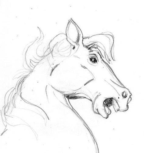 Horse Sketch Easy, Philosophy Journal, Rider Drawing, Drawing Horses, Ledger Art, Journal Images, Horse Rearing, Rearing Horse, Interesting Drawings