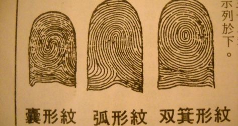 Fingerprint analysis Qin Dynasty, Ideas For Writing, Harry Potter Movies, Two People, Polynesian Tattoo, Fingerprint, Government, Gaming, China