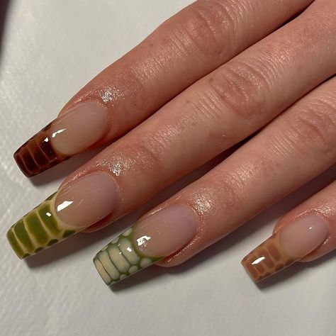 Crocodile Nails Brown, Snake French Tip Nails, Snake Skin Nails Designs, Green And Brown Nails, Snake Skin Nails, Nails Care, Skin Nails, Soft Nails, French Tips