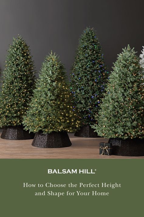 Choosing your perfect Christmas tree starts with knowing the right height and shape. Find the ideal tree size for your home through our guide. #BalsamHillUK #ChristmasDecor #ChristmasTree #ChristmasIdeas #ChristmasStocking #ChristmasDesign #HomeDecor #Interior #InteriorDesign #Home #Design #Fall #Autumn #Inspiration #Wreath #Garland #UK #Ireland Costco Christmas, Christmas Tree Height, Tree Collar Christmas, Different Christmas Trees, The Perfect Christmas Tree, Slim Artificial Christmas Trees, Realistic Christmas Trees, Perfect Christmas Tree, Slim Tree