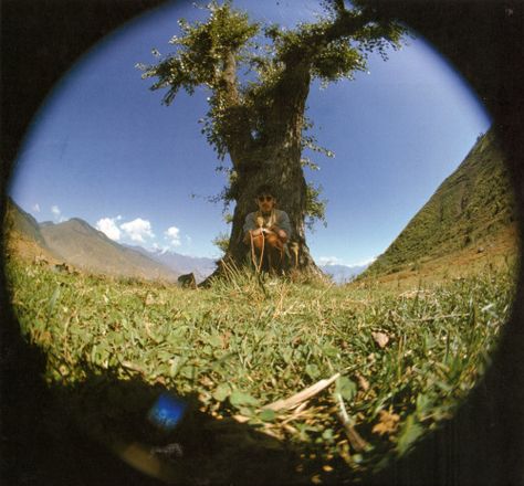 George Harrison, Self Portrait, India, Green