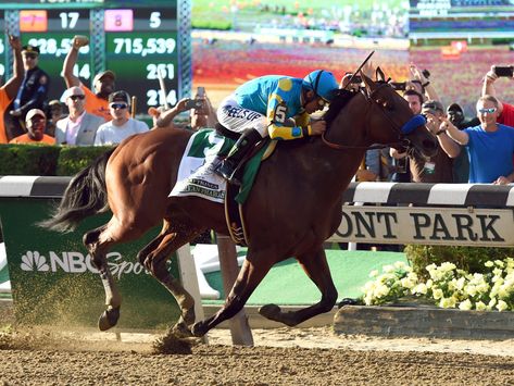 Cool facts about Triple Crown winner American Pharoah Thoroughbred Racehorse, American Pharoah, Triple Crown Winners, Derby Winners, Belmont Stakes, Sport Of Kings, Sports Figures, Sports Day, Triple Crown