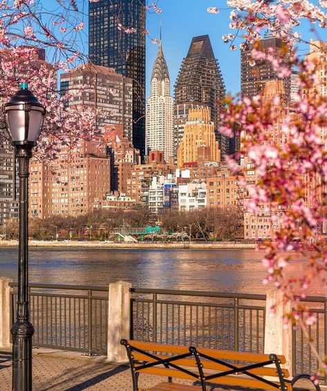 Natural Views, City Life Aesthetic, Roosevelt Island, Nyc Life, New York Life, Dream Places, New York City Travel, City Vibe, Nova York