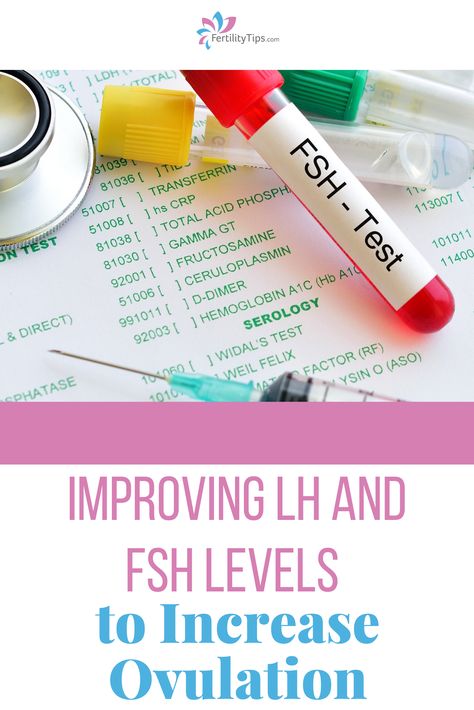 When it comes to fertility hormones, there’s a number of factors that can come into play but maintaining follicle stimulating hormone (FSH) levels and luteinizing hormone (LH) levels can play an important role in regulating ovulation. Click here to learn more about these hormones and how they impact ovulation and find out what you can do to naturally balance their levels. Increase Lh Hormone, Low Fsh Hormone, How To Ovulate Regularly, Leutal Phase, Boost Fertility Naturally, Feeling Angry, Follicle Stimulating Hormone, How To Get Pregnant, Fertility Health