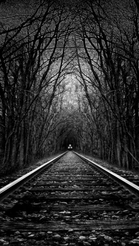 Train Tracks Photography, Track Pictures, Runaway Train, Railroad Photography, Old Trains, Train Tracks, Black And White Pictures, A Train, Black And White Photography