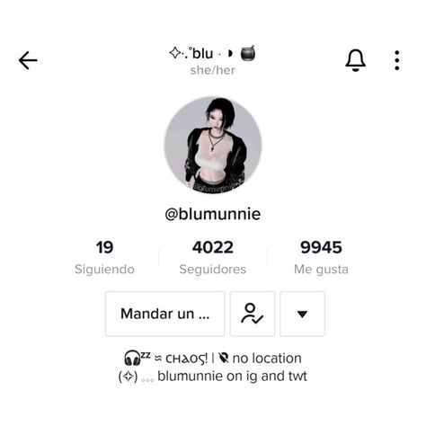 Bio Ideas For Tiktok Profile, Seeking Arrangement Profile Bio, Tiktok Layout Ideas, Tik Tok Bio Ideas Aesthetic, Tiktok Profile Template, Aesthetic Tiktok Bio, Bio For Tiktok Profile, Tiktok Bio Ideas Aesthetic, Tiktok Bios Ideas