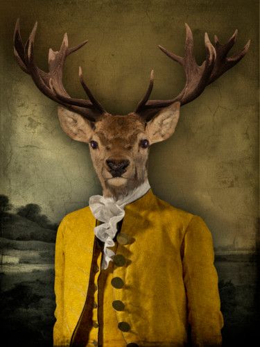 Timocrate Photography Animals, Adrien Brody, Slovenia, Deer, Photography, Animals, Art