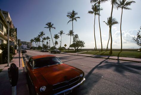 80s Florida Aesthetic, 1980s Beach Aesthetic, Miami 80s Aesthetic, Vintage Miami Beach Aesthetic, Miami Beach Club, Miami 1980s, House Countryside, 80s Miami, 1980 Miami