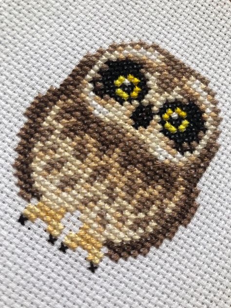 [FO] just finished my very first cross stitch project! I had such a lovely time stitching this Hawaiian Short-eared Owl pattern from La Selva Design (Etsy).