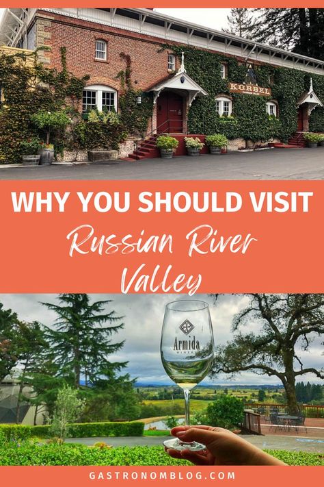 Russian River Valley Wineries, America Album, Napa Valley Trip, Russian River Valley, Sonoma Valley, Dry Creek, Wine Country California, Wine Travel, Sonoma County