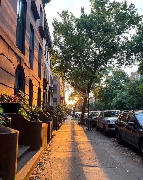 Brooklyn Ny Aesthetic, Dog Surprise, Brooklyn Aesthetic, Brooklyn Restaurants, Cobble Hill Brooklyn, 2024 Energy, Ny Subway, New York Neighborhoods, Brooklyn Neighborhoods