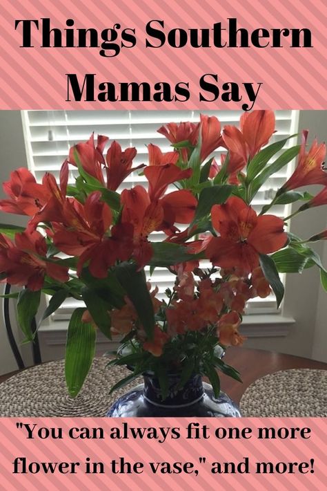 If you have a southern mama, you've heard most, if not all, of these sayings. And if you're from the North, you'll probably get a kick out of them.  #BlessHerHeart #southern #south #southernmamas #quotes #mothers #grandmothers #deepsouth #sayings #sotrue #words #funny Southern Vintage Aesthetic, Southern Momma Quotes, Crockpot Meals Ground Beef, Pork Chops Crockpot, Meals Ground Beef, Funny Southern Sayings, Southern Expressions, Southern Mama, Air Fryer Recipes Breakfast