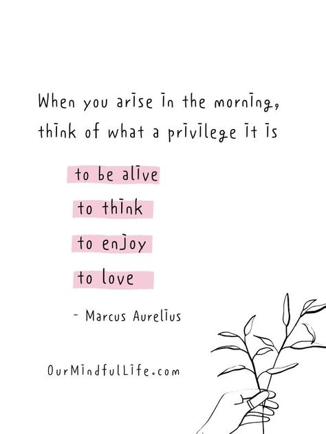 When you arise in the morning, think of what a privilege it is to be alive, to think, to enjoy, to love. - A good morning quote that inspires gratitude Good Morning Affirmations Quotes, Amber Core, Cute Morning Quotes, June Quotes, 2022 Quotes, Cute Text Quotes, Positive Good Morning Quotes, Good Morning Quote, Morning Quote