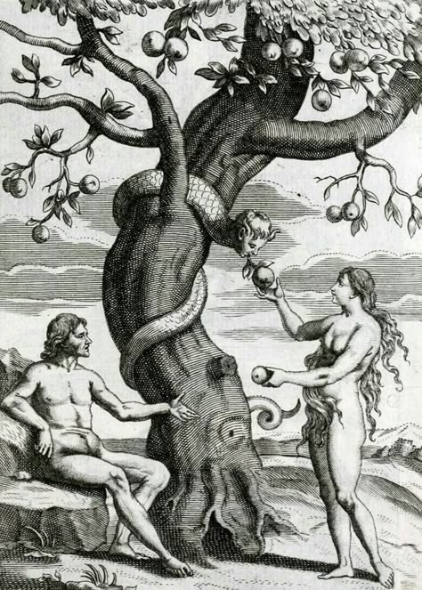 Eve And The Serpent, Lover Photo, Alchemy Art, Muse Art, Unique Drawings, Female Art Painting, The Serpent, Biblical Art, Adam And Eve