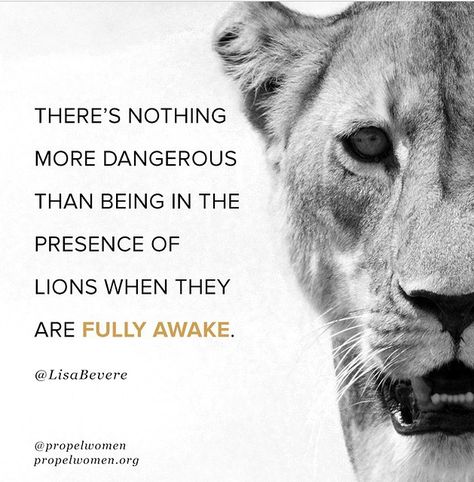 Lisa Bevere Quotes Lioness Arising, Lioness Arising Quotes, Lioness Arising, Warrior Mentality, Lioness Quotes, Strength Quotes For Women, Lisa Bevere, Gangster Quotes, Lioness Tattoo