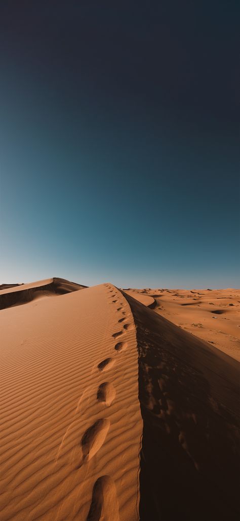 Desert Phone Wallpaper, Desert Wallpaper Aesthetic, African Wallpaper Iphone, 8k Wallpaper Iphone Nature, Desert Wallpaper Iphone, Wallpaper Iphone Hd, Desert Wallpaper, Desert Aesthetic, Iphone Wallpaper Winter