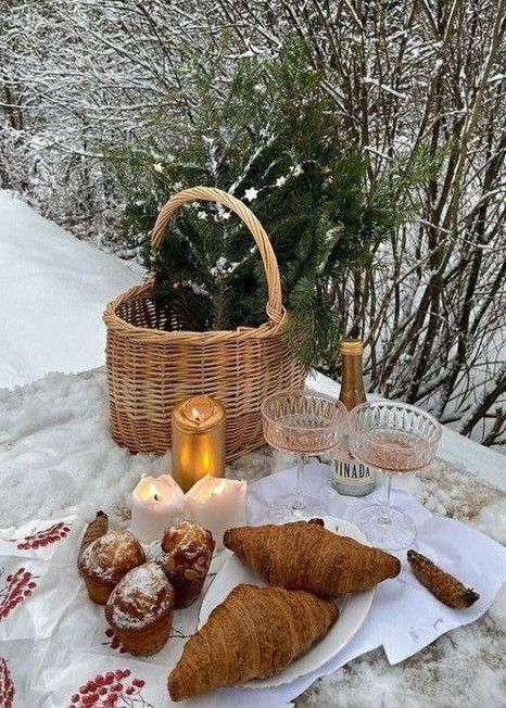 Winter Picnic Aesthetic, Winter Picnic, European Winter, Snow Theme, Winter Mood, Winter Inspo, Picnic Date, Instagram Inspiration Posts, Winter Photos