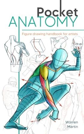 Learn To Draw Anatomy, Anatomy Figure Drawing, How To Draw Human, Beginner Drawing Lessons, Human Figure Sketches, Draw Human, Perspective Drawing Lessons, Human Anatomy Drawing, Best Anime Drawings