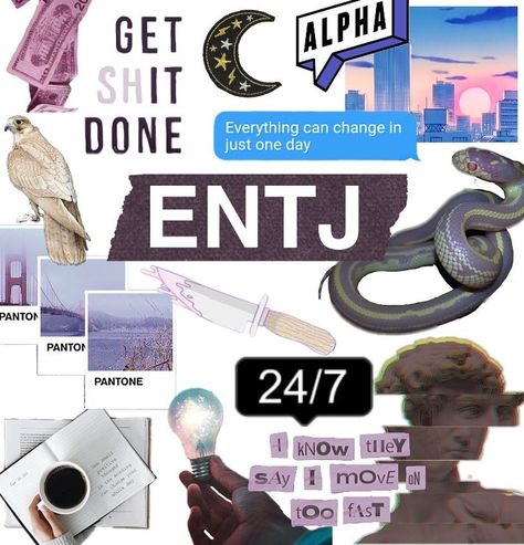 Entj Starter Pack, Entj Moodboard, Entj Personality Aesthetic, Entj Girl, Entj Female, Entj Quotes, Entj Aesthetic, Mbti Entj, Entj Women