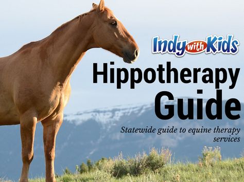 Hippotherapy in Indiana: A Statewide Guide to Horse Therapy Services | Indy with Kids Hippotherapy Activities, Equine Therapy Activities, Therapeutic Horseback Riding, Equine Therapy, Farm Business, Horse Therapy, Horse Riding Tips, Riding Lessons, Fun Fall Activities