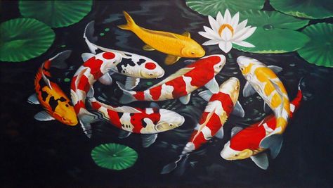 Feng Shui Koi Fish, Walls Painting, Koi Fish Painting, Koi Painting, Koi Art, Carpe Koi, Gif Photo, Albrecht Durer, Animals In Art