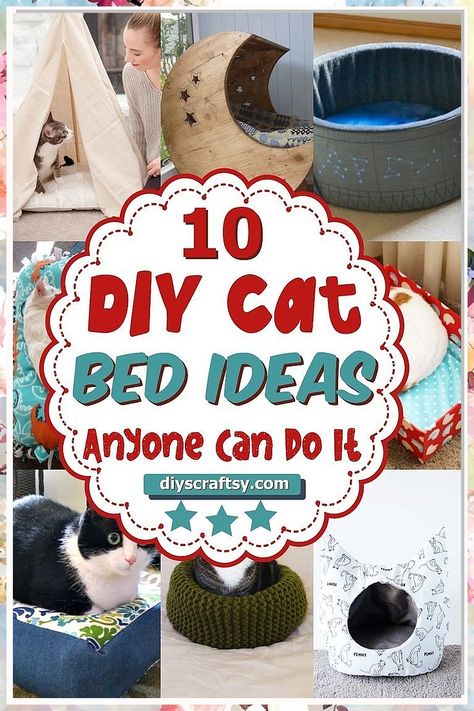 Looking for the purr-fect cat bed ideas to spoil your feline friend? Check out these 6 creative and cozy options that will have your cat napping in style. From DIY projects to unique designs, find the perfect bed that your furry companion will love. Diy Cat Basket Bed, Making Cat Beds, Diy Cat Cave Bed, Homemade Cat Bed, Diy Cat Bed Cardboard, Homemade Cat Beds Diy, Diy Cat Stuff Easy, Diy Cat Bed Easy, Cat Crate Bed