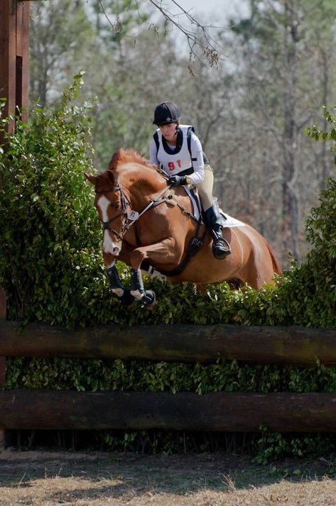 Eventing Cross Country, Cross County, Cross Country Jumps, Equestrian Aesthetic, Eventing Horses, Equestrian Riding, Horse Jumping, Horse Life, Horse Training