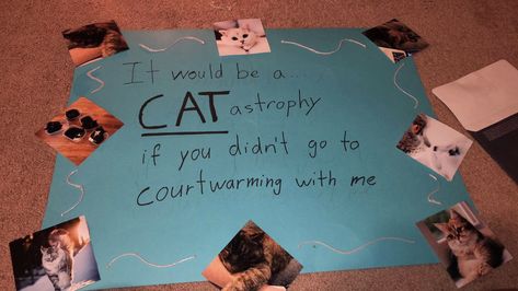 how i’m asking my guy to our courtwarming/sadie hawkins! Cat Hoco Proposal, Cat Promposal, Sadies Proposal, Dance Proposals, Homecoming Signs, Prom Proposals, Cute Prom Proposals, Dance Proposal, Sadie Hawkins