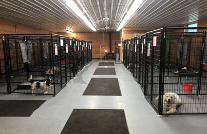 Country Style Dog Boarding and Training Facility - Winona, Minnesota MN - Prairie Ranch Kennels Dog Training Facility Ideas, Commercial Dog Kennel Ideas, Dog Boarding Facility Ideas, Dog Breeders Kennels, Winona Minnesota, Dog Boarding Facility, Boarding Facility, Kennel Ideas, Doggy Daycare