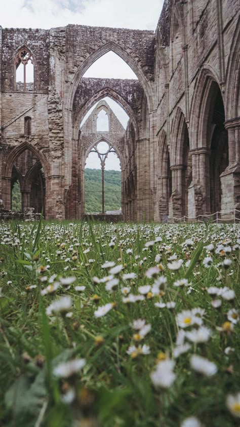 monalogue on Instagram: Tintern Abbey full of daisies 🌼🍃 We stopped by when we were in the area a couple of weeks ago. Wouldn’t it look beautiful full of a… Abigail Aesthetic, Abbey Core, Abigail Core, Abbey Aesthetic, Abby Aesthetic, College Collage, Tintern Abbey, Uni Aesthetic, Summer Moodboard