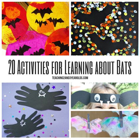 How to Make a Bat Craft with Preschoolers Bat Lessons, Bat Activities, Hibernation Activities, October Lesson Plans, Bats Activities, October Themes, Bat Facts, Bat Coloring Pages, Prek Ideas