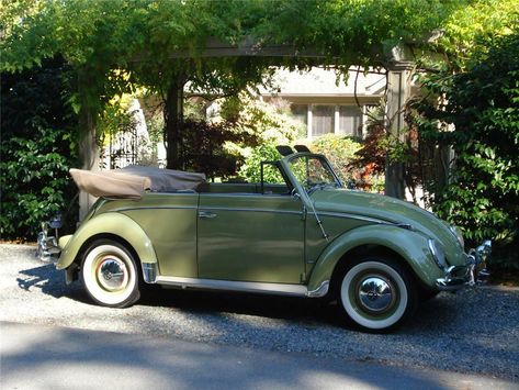 1959 Volkswagen Beetle Convertible, Vw Bug Convertible Vintage, 1968 Volkswagen Beetle, Volkswagen Beetle Convertible Aesthetic, Convertable Beetle Volkswagen, 1969 Volkswagen Beetle, Volts Wagon Beetle, Vintage Convertible Cars, 50s Convertible