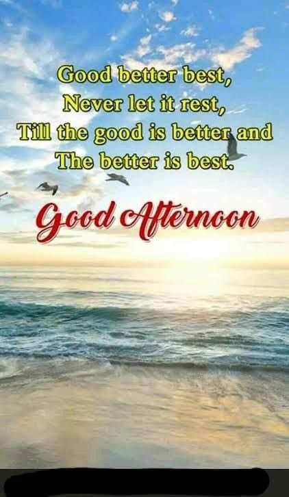 Good Afternoon Tuesday, Happy Sunday Afternoon, Good Afternoon Post, Afternoon Wishes, Good Afternoon Quotes, Evening Pictures, Afternoon Quotes, Happy Morning Quotes, Tuesday Afternoon