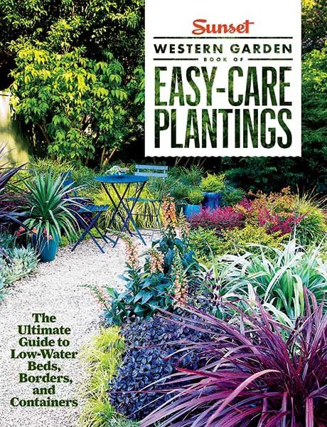 Easy-Care, Low-Water Container Gardens - This Old House Sunset Western, Western Garden, Amazing Landscaping Ideas, Water Wise Landscaping, Low Maintenance Shrubs, Landscape Borders, Drought Tolerant Garden, Flower Bed Designs, Sunset Magazine