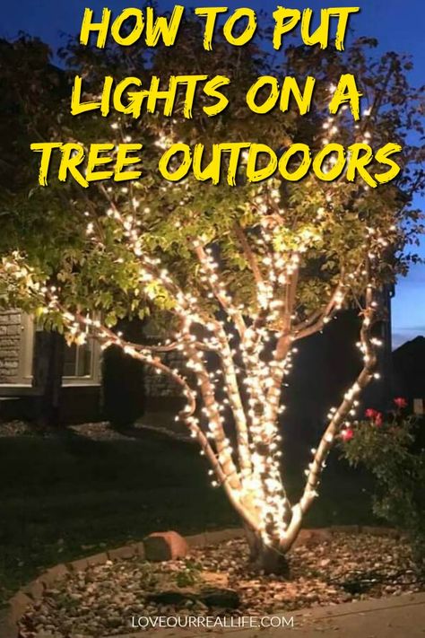 Learn the best way for outdoor trees to look great with string lights. Perfect for decorating the exterior of your home for Christmas or just to add ambiance to your outdoor patio space. #outsidechristmasdecor #stringlights #wrapatreewithlights Christmas Lights Outdoor Trees, Outdoor Tree Lighting, Christmas Lights Outside, Christmas Light Installation, Hanging Christmas Lights, Christmas Cozy, Wrapped Lights, Outdoor Trees, Christmas Lighting